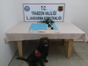 ‘Çakıl’dan kaçış yok