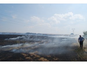 Tekirdağ’da 500 dönüm anız kül oldu