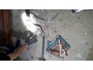 İtfaiyeden yılan yakalama operasyonu