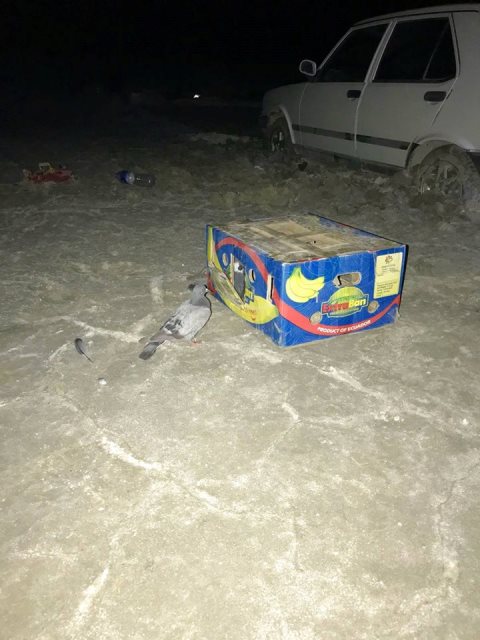 Kaçak avlanmaya suçüstü