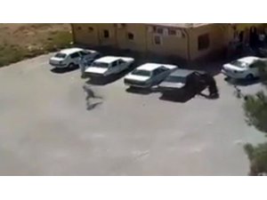 Şanlıurfa’daki ’kan davası’ cinayeti kamerada
