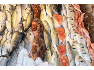 Su ürünleri ve hayvansal mamuller sektörü Afrika’ya yöneldi