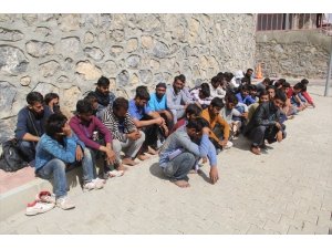 Başkale’de  40 kaçak göçmen yakalandı