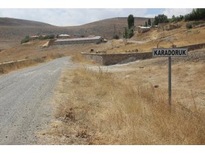 Telef olan inekte şarbon virüsüne rastlandı
