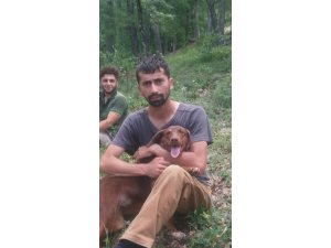 23 yaşındaki genç ağaç altında kalarak hayatını kaybetti