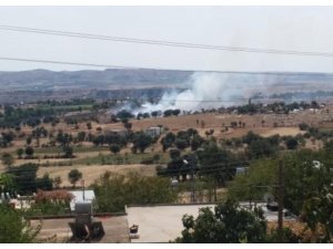 Tarladaki yangın korkuttu