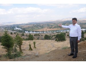 Başkan Uyar, mesire alanı inşaatını inceledi