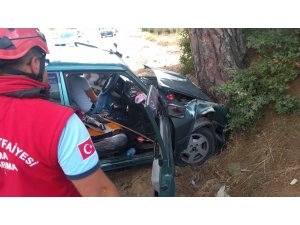 Otomobil ağaca çarptı: 1 yaralı