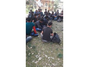 Van’da 18 kişilik minibüste 50 kaçak göçmen yakalandı