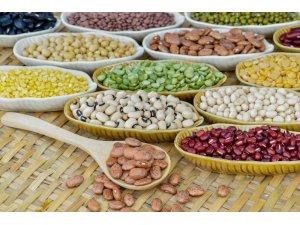 AHBİB’in ağustos ayı ihracatı 82.3 milyon dolar