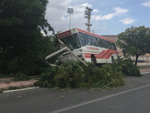 Trafik kazasında yolcu otobüsü refüje çıktı