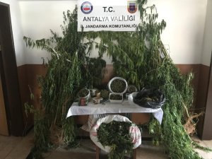 Alanya’da 6 kilo esrar ele geçirildi