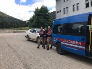 Seri katil Trabzon’a nakledildi