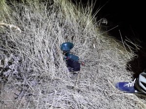 Konya'da kara avcılığı denetimleri