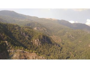 Hatay’da 2 hektarlık ormanlık alan yandı