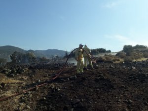 Aliağa’da makilik alanda yangın