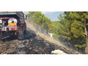 Ormanlık alanda yangın