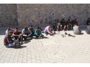 Başkale’de 43 kaçak göçmen yakalandı