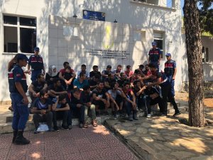 Mersin’de göçmen kaçakçılığı operasyonu