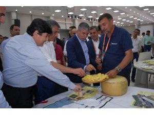 Bitlis’teki peynir fuarının yankıları sürüyor