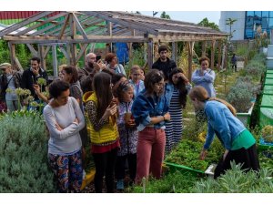 Plazalar arasında 180 kilo ürün hasat edildi