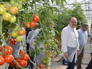 Jeotermal seranın açılışı yapıldı