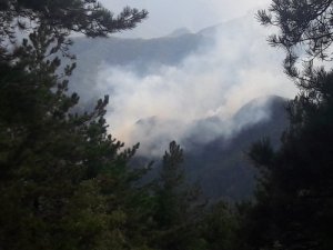 Hatay’da orman yangını