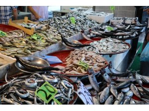 Rize’de tezgahlarda balık bolluğu