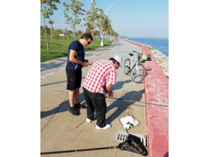 Amatör balıkçının oltasına iğneli vatoz takıldı