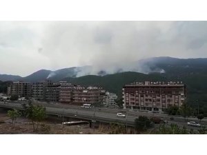 Hatay’daki yangın kısmen kontrol altında