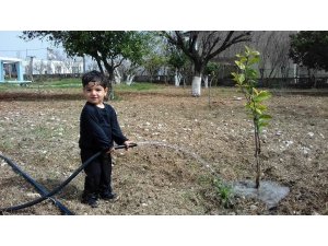 Havuza düşen küçük çocuk, yaşam savaşını kaybetti