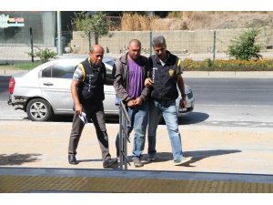 Alanya’da plaj faresi yakalandı