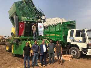 Viranşehir’de pamuk hasadı başladı