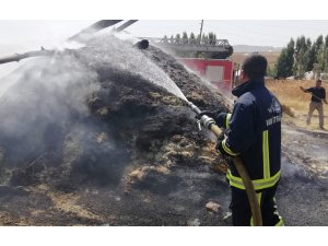 Özalp ilçesinde bin bağ ot ve 8 ton saman yandı