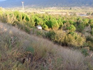 Yoldan çıkan otomobil ağaçlık alana uçtu: 3 yaralı