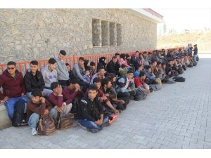 Başkale’de 118 kaçak göçmen yakalandı