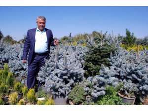 İstanbul Yeni Havalimanını Manisa’nın fidanları süsleyecek