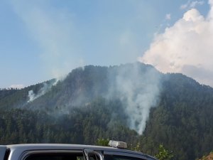 Kahramanmaraş’ta orman yangını