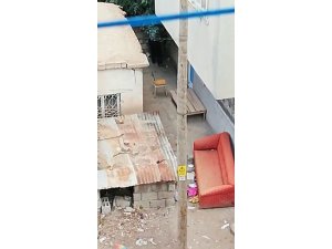 Yavru köpeği kürekle dövdü