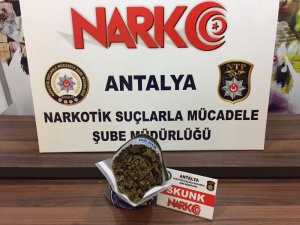 Antalya’da torbacı avı