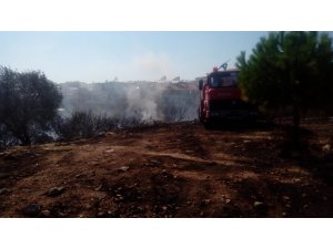 Didim’de makilik yangını korkuttu