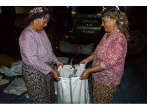 Sergilerde kuruyan üzümler çuvallanıyor