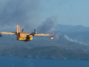 Kaza yapan araç 20 hektar ormanı kül etti