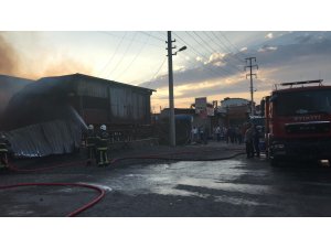 28. Altın Kemerli Karakucak Güreş Festivali