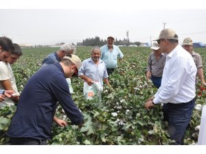 MAY Tohum, yeni pamuk çeşitlerini "Bereket Şenliği"nde çiftçilere tanıttı