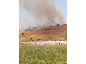 Aliağa’da otluk alanda yangın