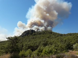 Kumluca’da ormanlık alanda yangın