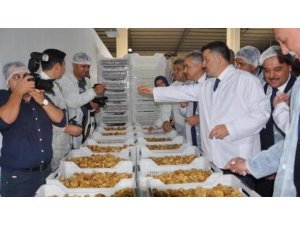 Aydın Ticaret Borsası, Bakan Pakdemirli’den incire destek istedi