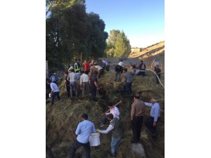 Van’da 3 bin 800 bağ ot yandı