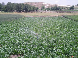 Su kullanımına uydudan takip